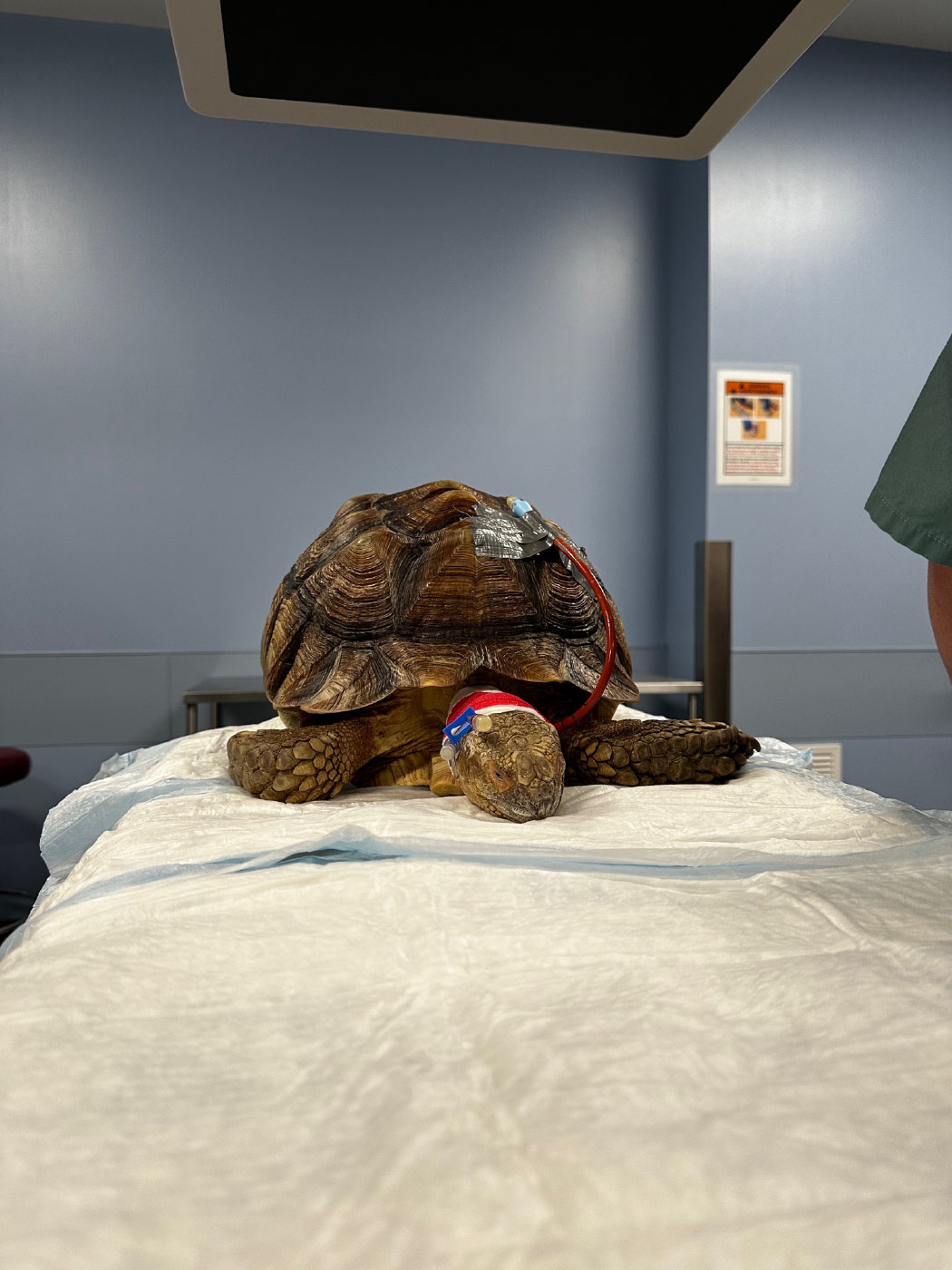 viries-dunn-05 viries-dunn-05